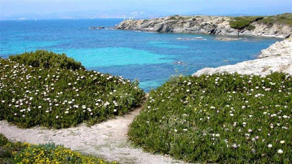 Villa Spacieuse, Climatisation, Piscine, Jardin Paysage, Proche Mer Saint-Cyr-sur-Mer Exteriér fotografie